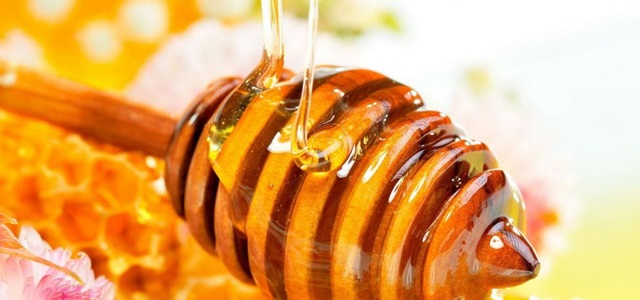 Dahsyatnya Khasiat Madu